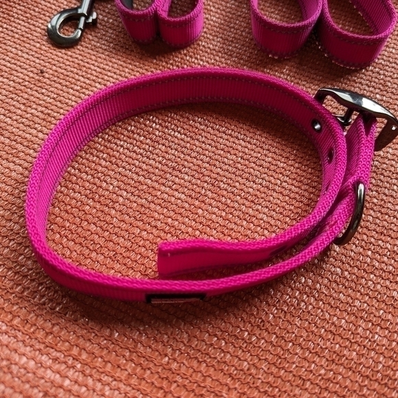 Max & Neo Dog Collar and Leash Set + Outward Hound Backpack - Picture 3 of 12